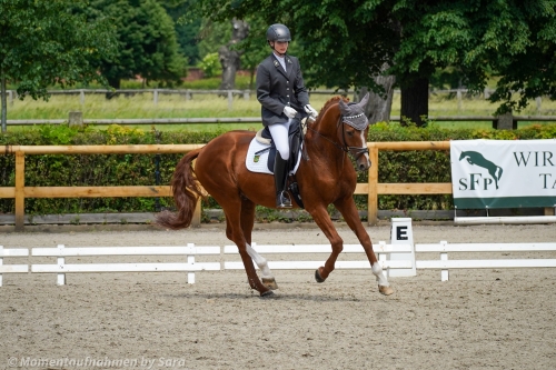 Sächsisches Lehrlingschampionat am 07.06.2026 in Graditz