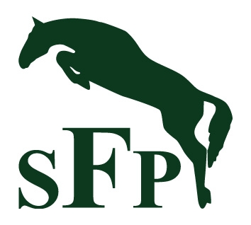 Mitgliederversammlung des SFP am 28.3.2017